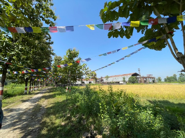 International Quality Certification