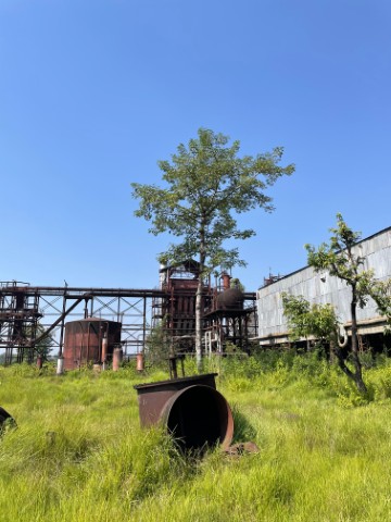 Zero Waste Initiative Success