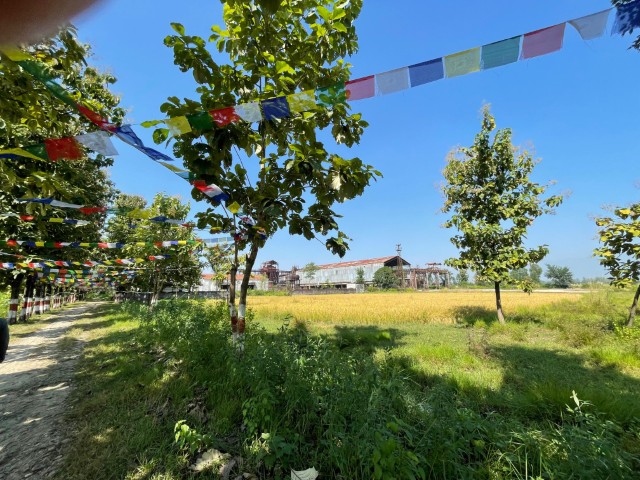 Research Partnership with University