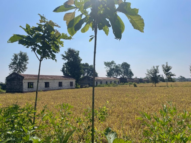 Record Production Season Completed