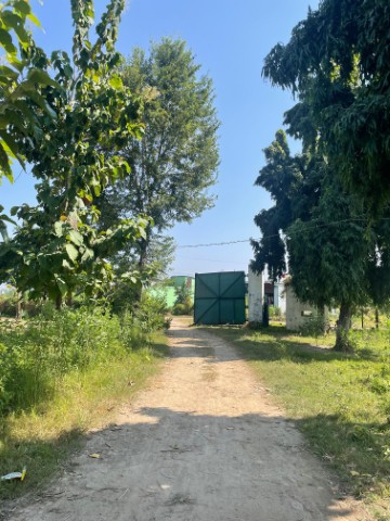 New Educational Program Launched